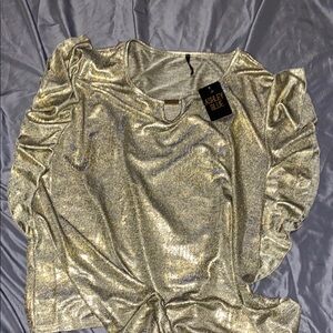 Ashley Blue Gold Metallic Top